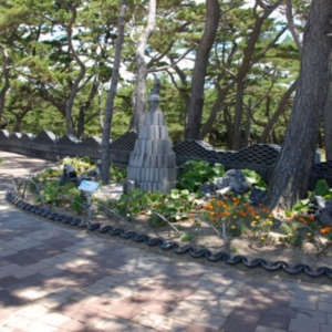 神戸・姫路サプライズプロポーズ 慶野松原プロポーズ街道