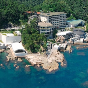 神戸・姫路サプライズプロポーズ 城崎マリンワールド