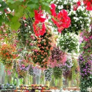 神戸・姫路サプライズプロポーズ 神戸どうぶつ王国