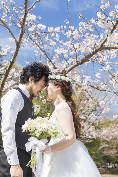 姫路城と満開の桜の下で…