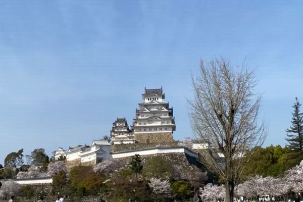 春のプロポーズスポット 姫路城