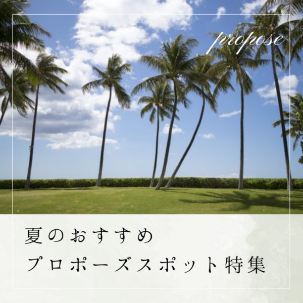 夏におすすめのプロポーズスポットin兵庫