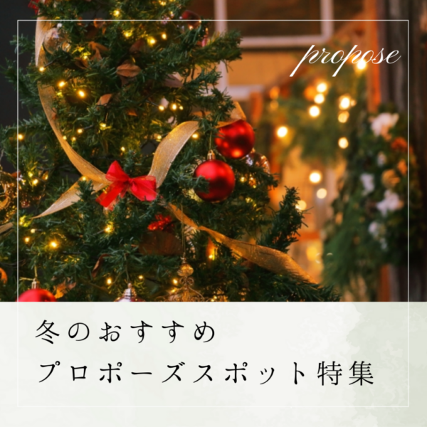 冬におすすめのプロポーズスポットin兵庫