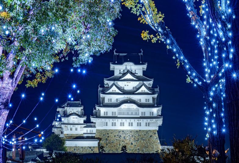 姫路のプロポーズスポット① 「姫路城(世界遺産)~夜間ライトアップ時~」