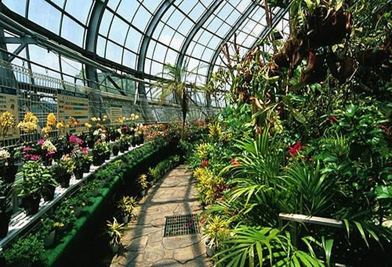 姫路のプロポーズスポット
「手柄山温室植物園」