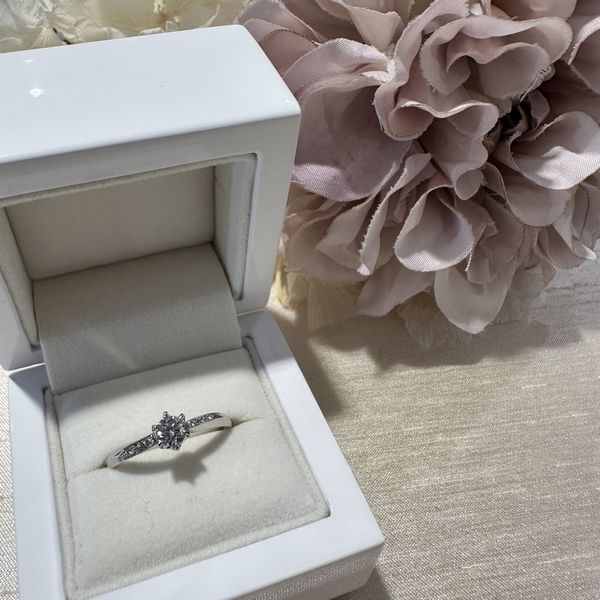 姫路 プロポーズ応援企画