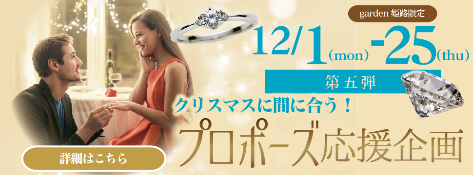 クリスマスに間に合う！プロポーズ応援企画【第５弾】