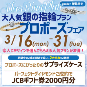 大人気!銀の指輪プランプロポーズフェア【3月16日~31日】最高品質のダイヤモンドも見比べできる