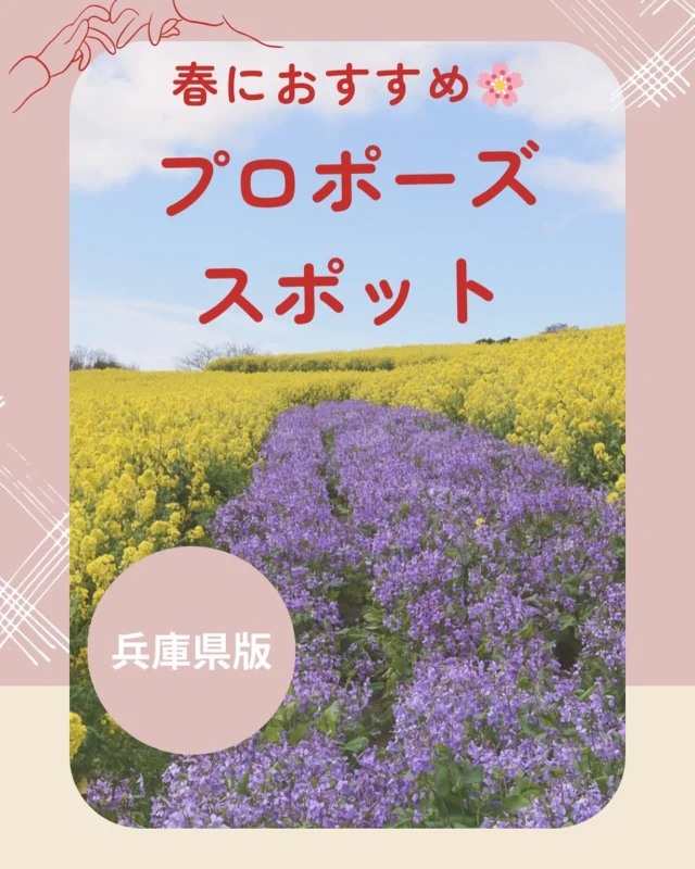 春におすすめのプロポーズスポットご紹介🌸

プロポーズだけでなくデートにもおすすめです🍃

#春プロポーズ #春デート #兵庫県プロポーズ #兵庫県デート
